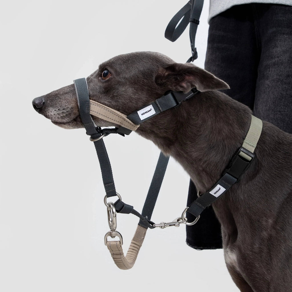 (NEW) Valley Dog Head Collar Bundle - HiDream