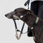 (NEW) Valley Dog Head Collar Bundle - HiDream