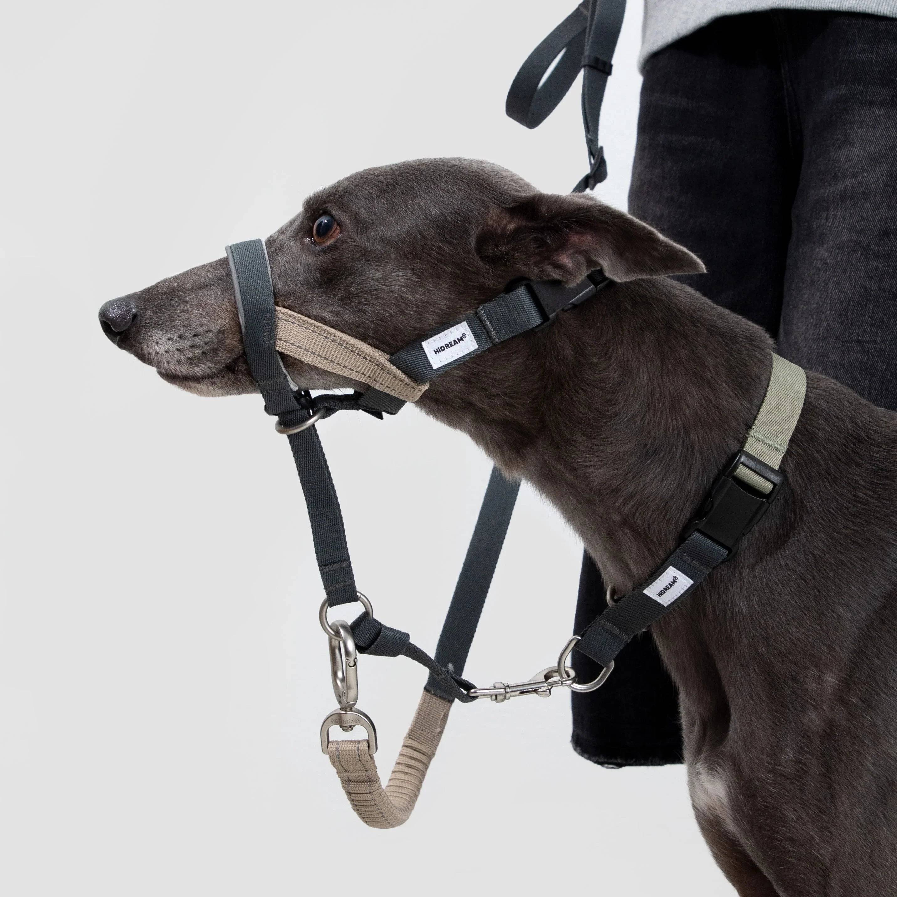 (NEW) Valley Dog Head Collar Bundle - HiDream