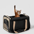 'Airline Tote' Pet Carrier - HiDream
