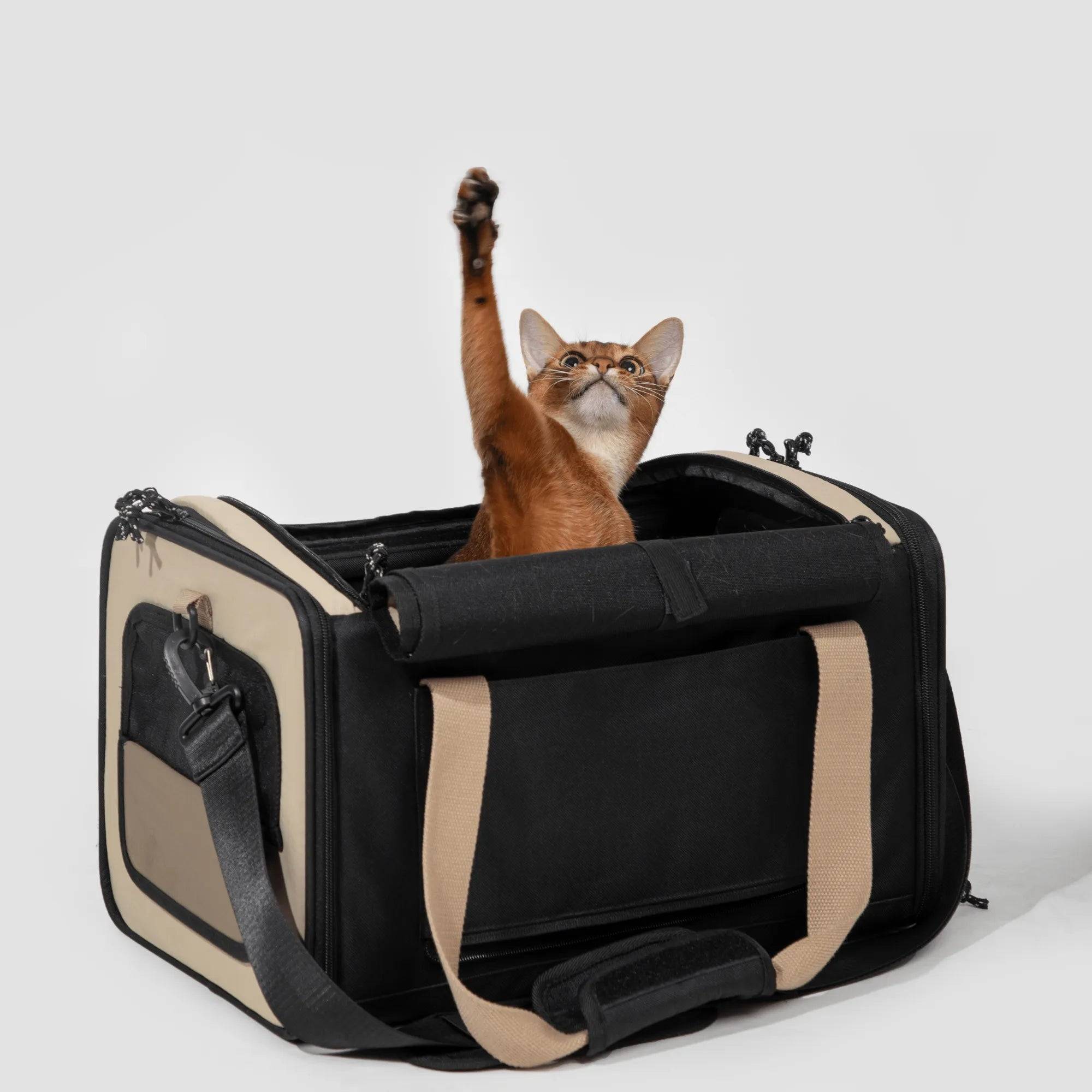 'Airline Tote' Pet Carrier - HiDream
