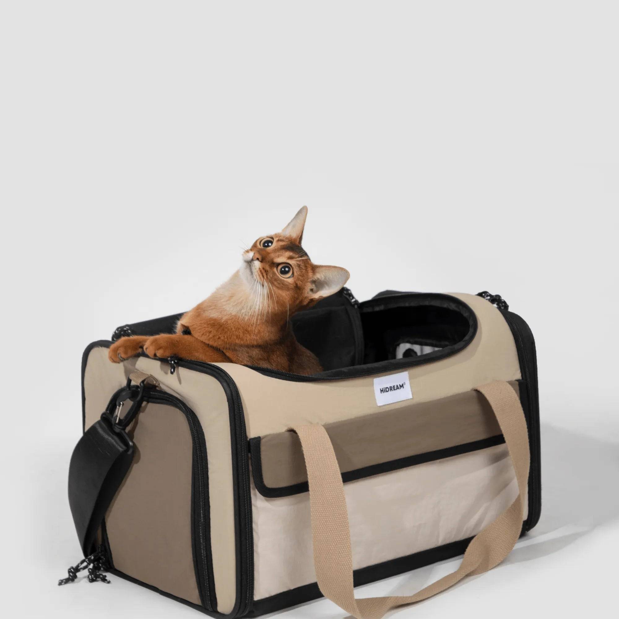 'Airline Tote' Pet Carrier - HiDream