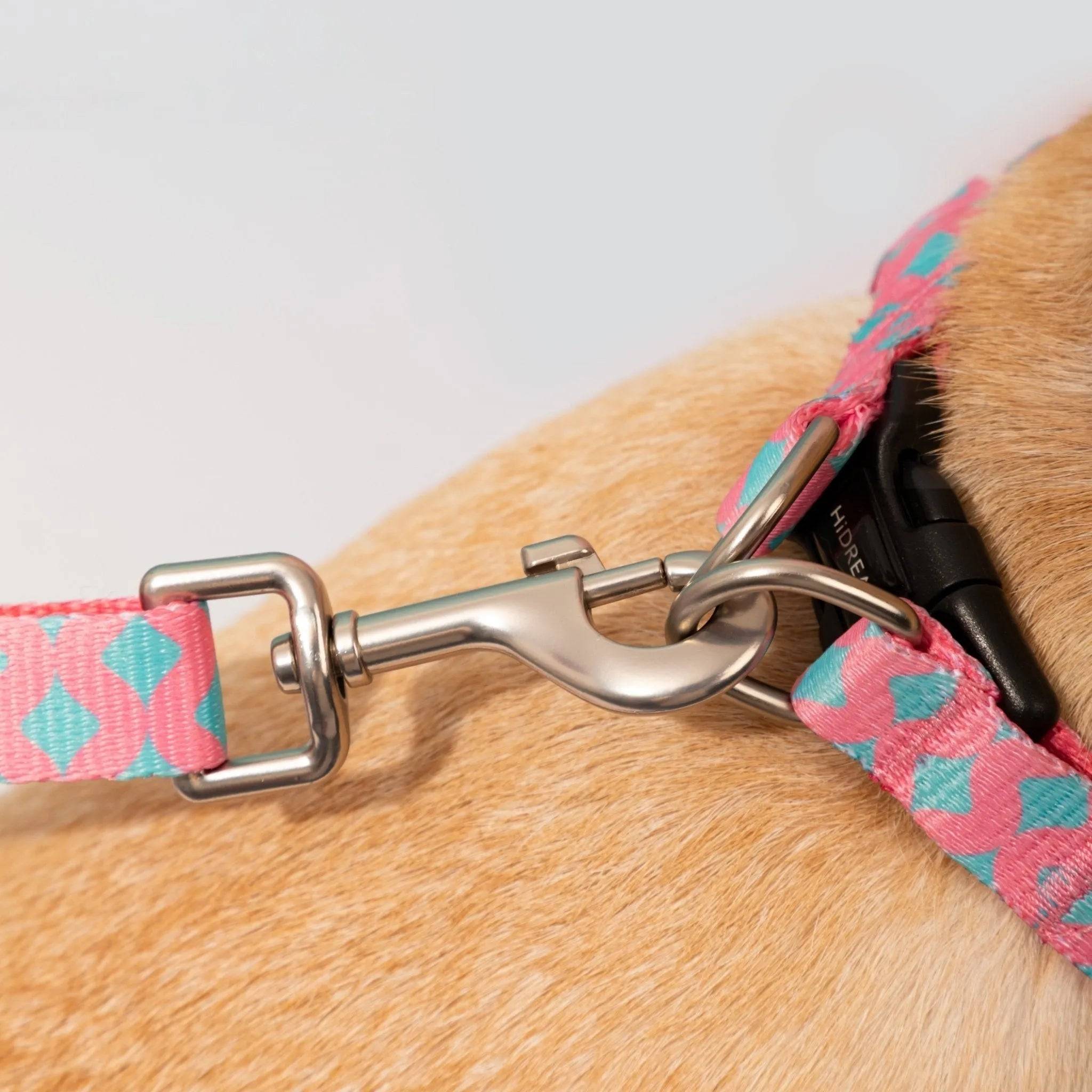 Colourful Series - 'Y' Dog Harness Bundle - HiDream