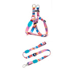Colourful Series - 'Y' Dog Harness Bundle - HiDream