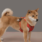 [Customizable] Pet ID Tags - HiDream