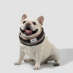 Dog Cooling Collar - HiDream