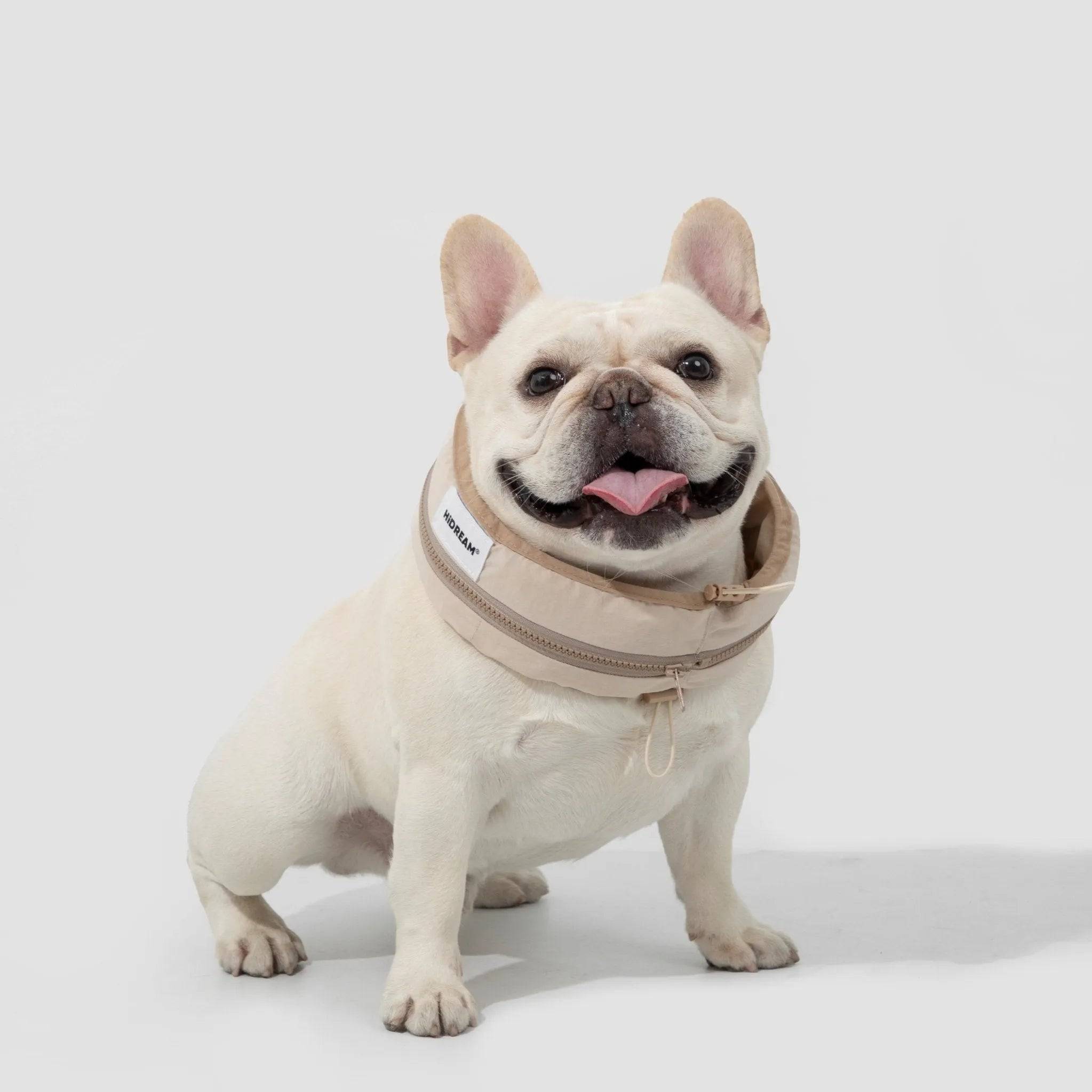 Dog Cooling Collar - HiDream