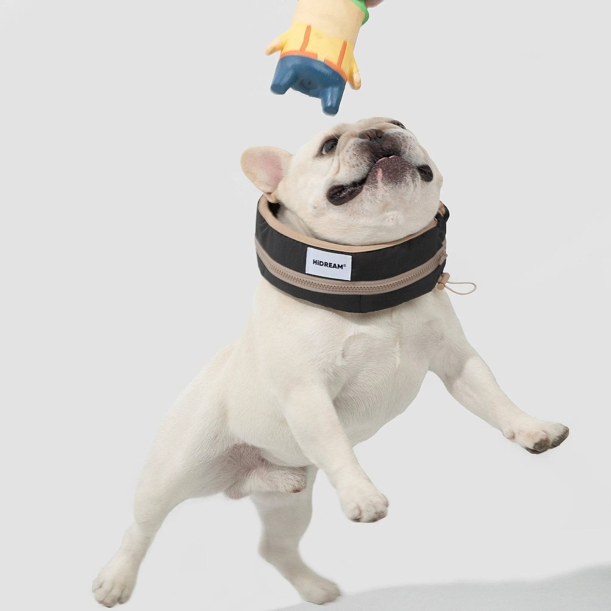 Dog Cooling Collar - HiDream