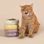 Donut Ceramic Pet Bowl - HiDream