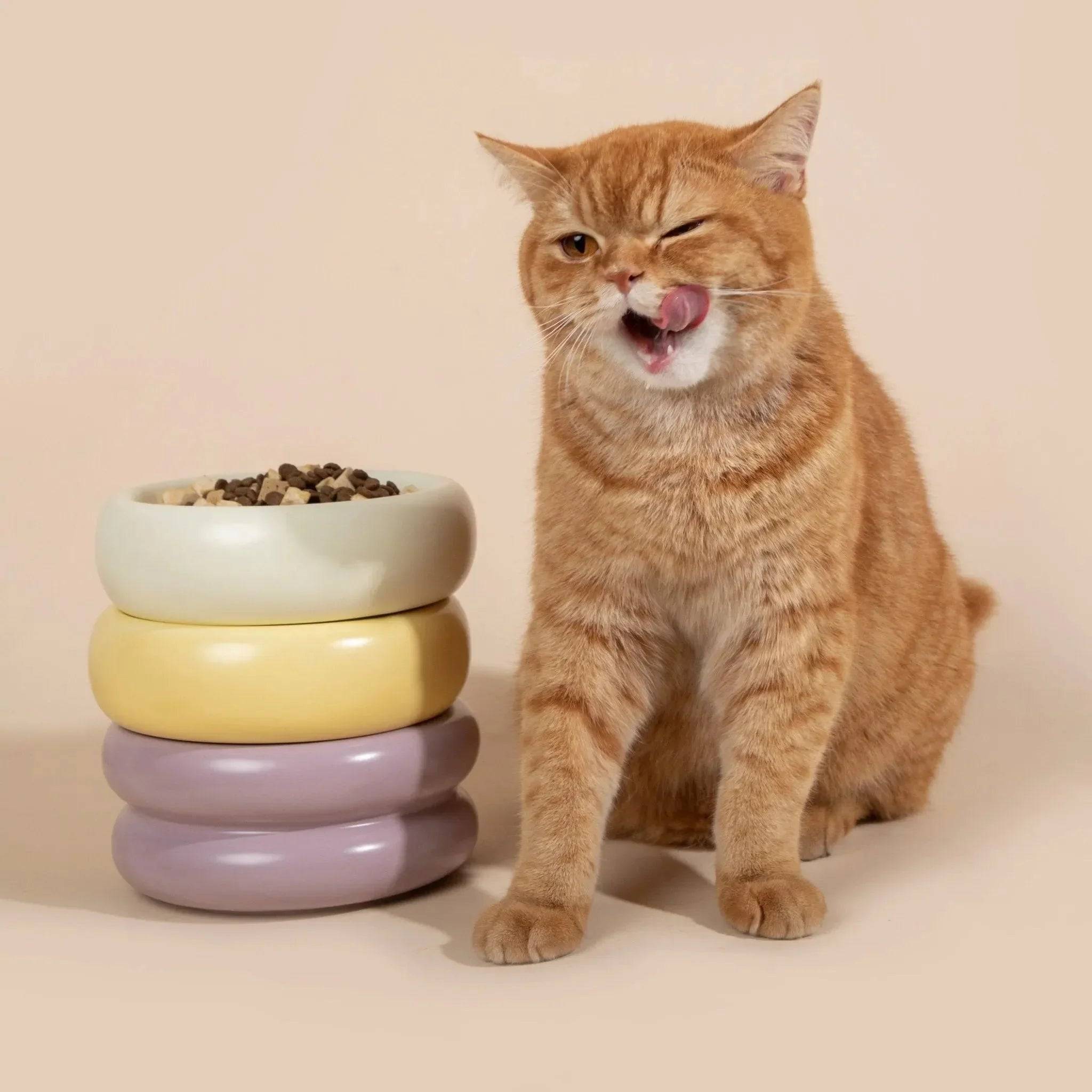Donut Ceramic Pet Bowl - HiDream