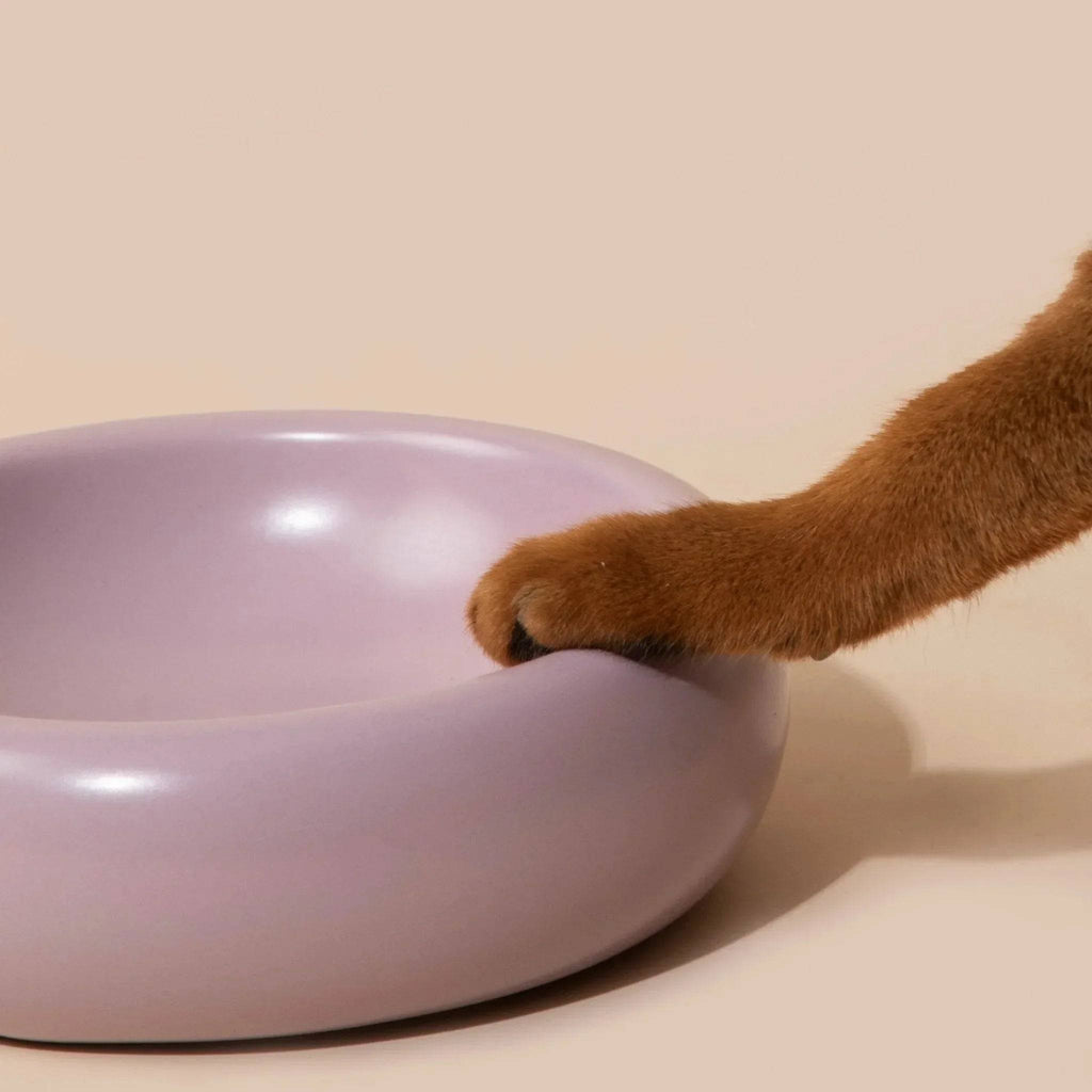 Donut Ceramic Pet Bowl - HiDream