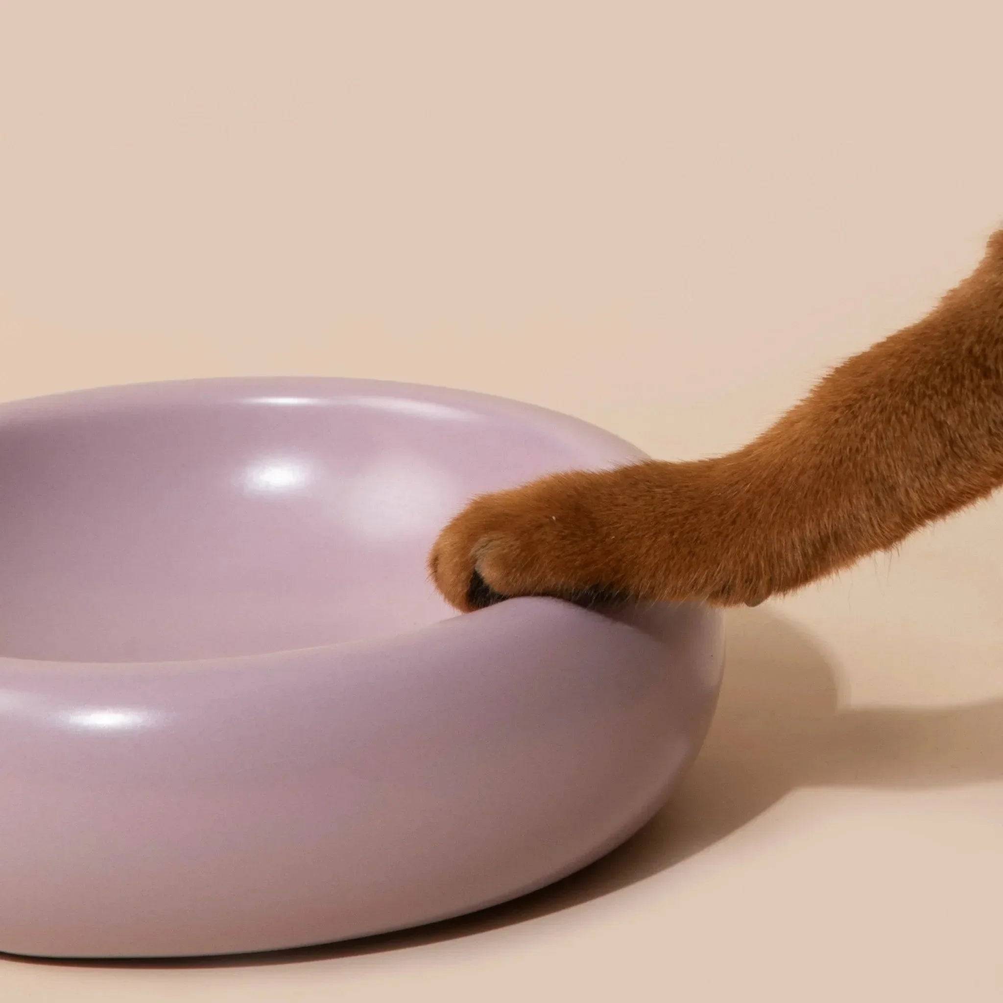 Donut Ceramic Pet Bowl - HiDream