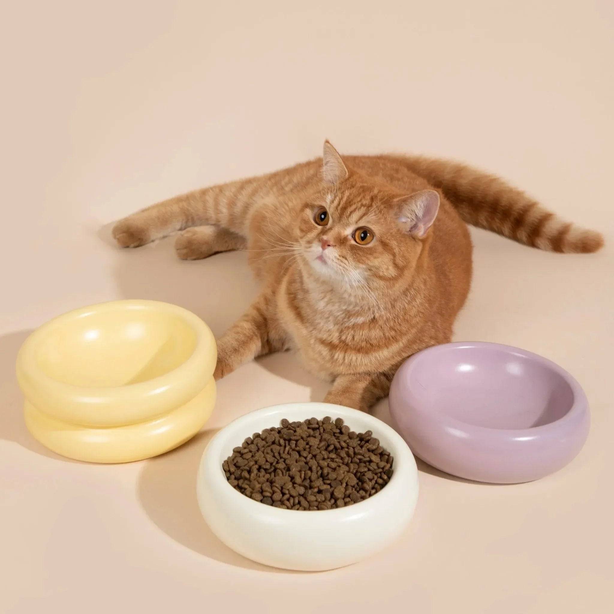Donut Ceramic Pet Bowl - HiDream