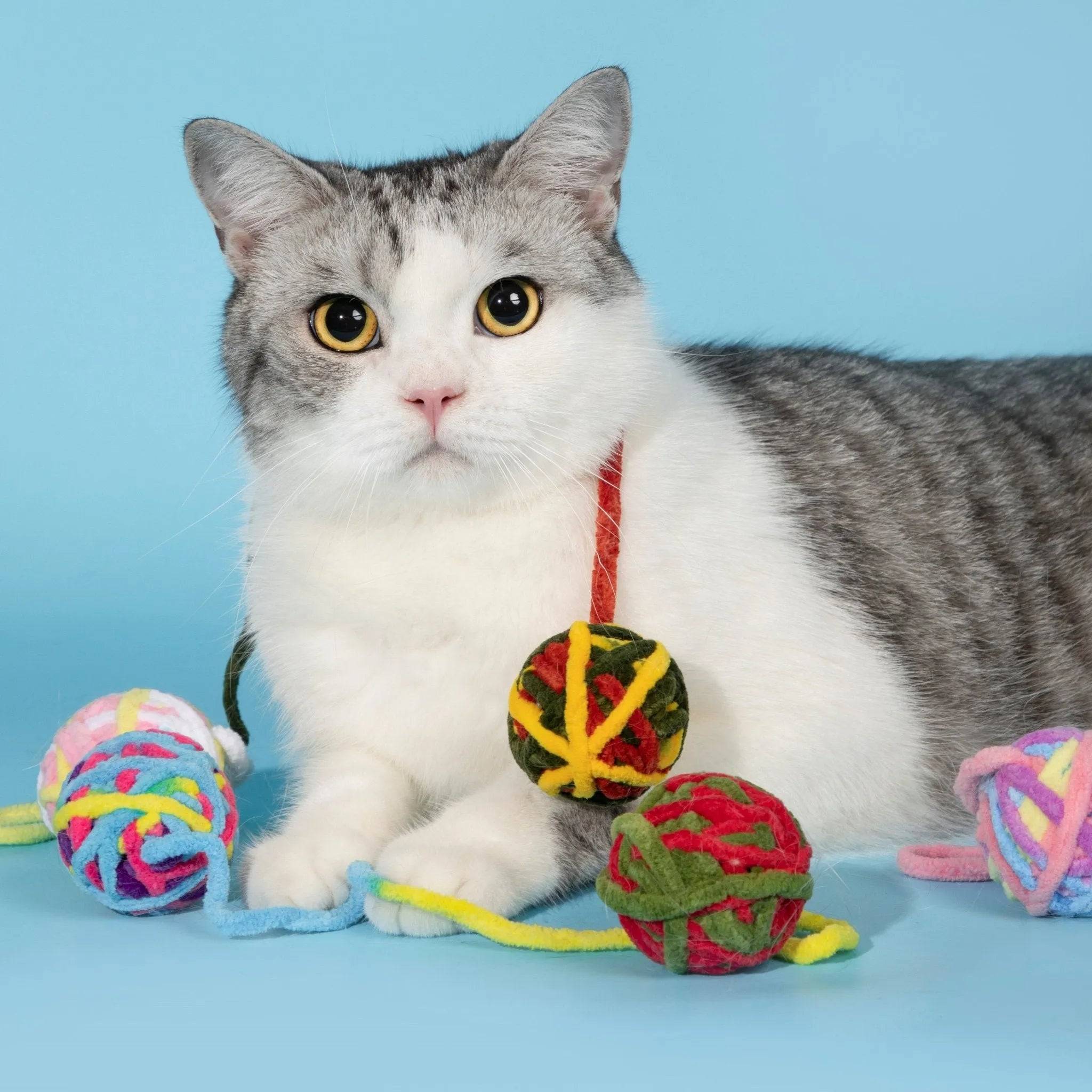 Hairball Bell Toys - HiDream