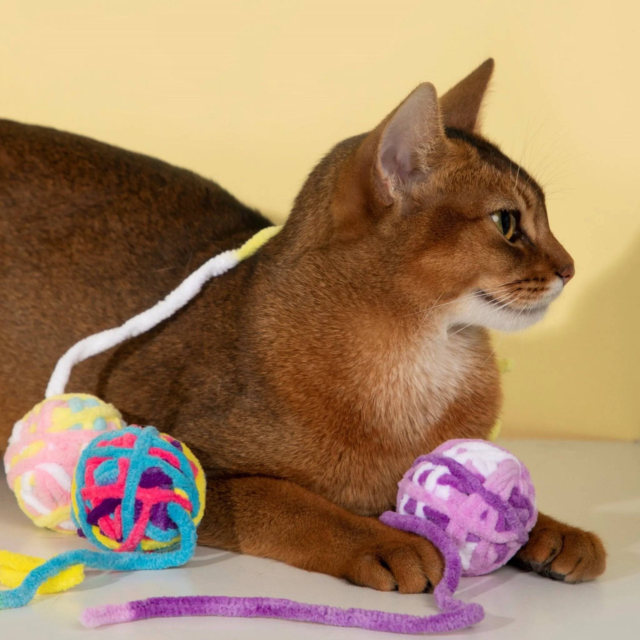 Hairball Bell Toys - HiDream
