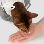 Cat in HiDREAM Cat Bathing Bag taking a pill from a hand, demonstrating safe medication handling for pet owners.