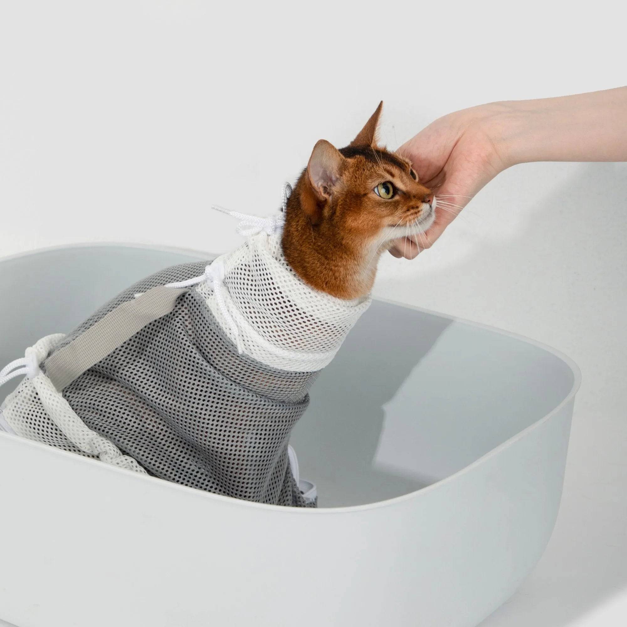 Cat in HiDREAM Cat Bathing Bag being gently petted, highlighting comfort and stress-free grooming for Aussie cats.