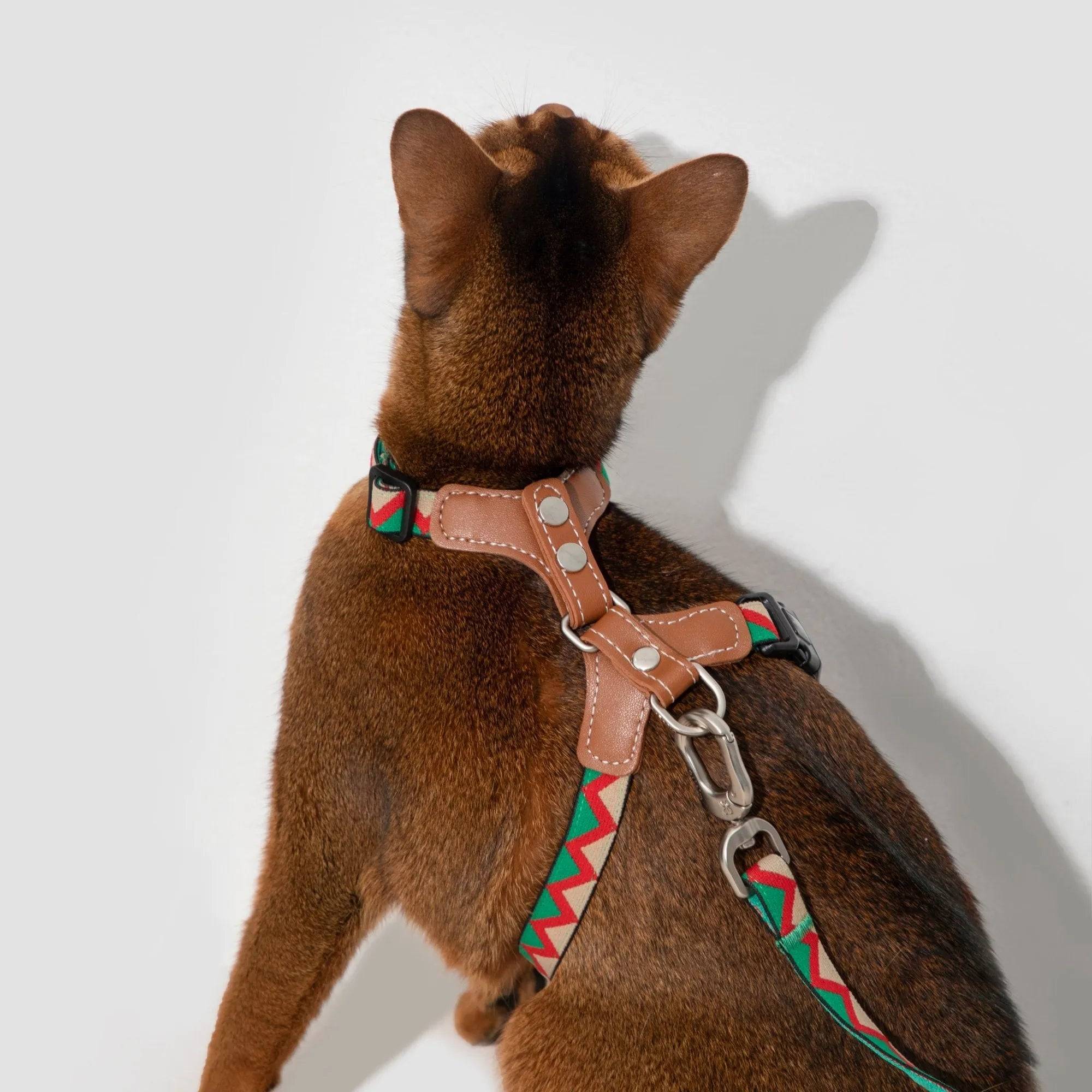 Bobo Series - Colorful Leather Patchwork Cat Vest Set - HiDream