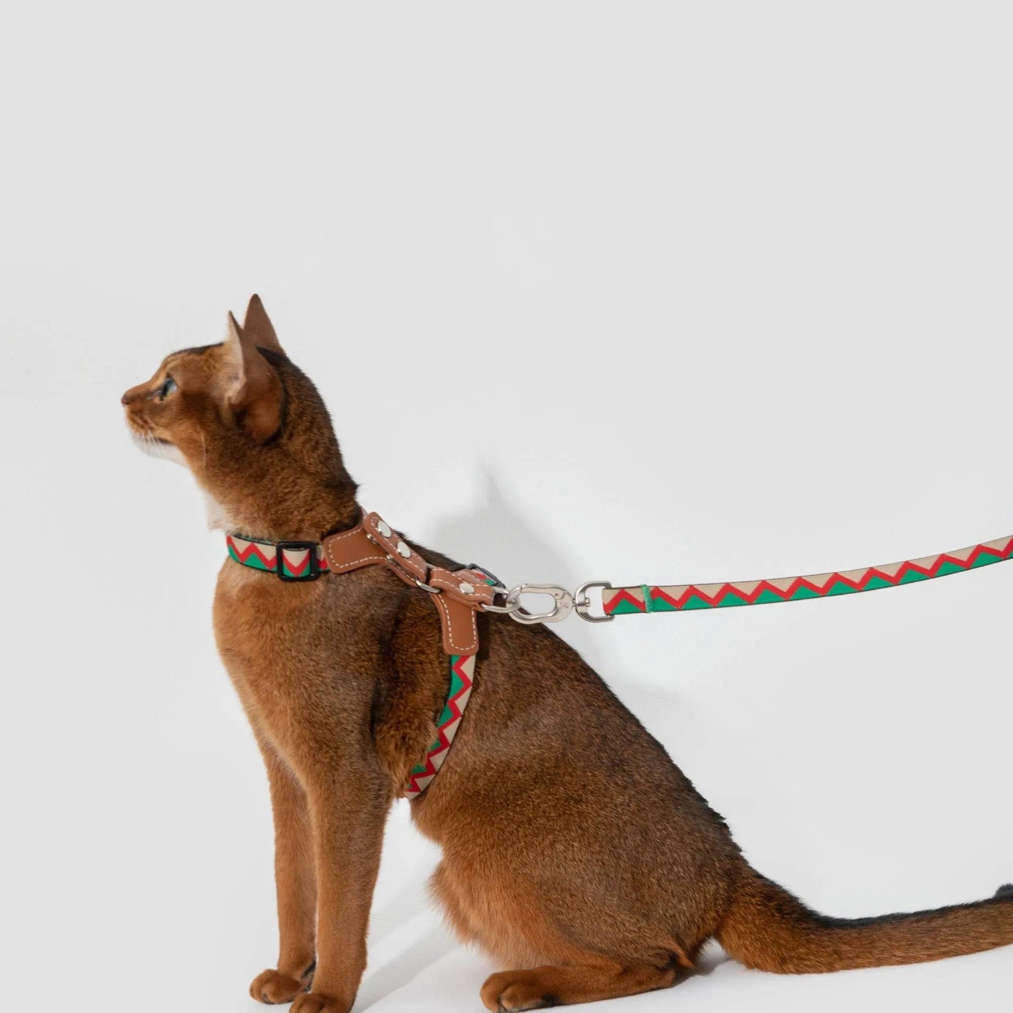 Bobo Series - Colorful Leather Patchwork Cat Vest Set - HiDream