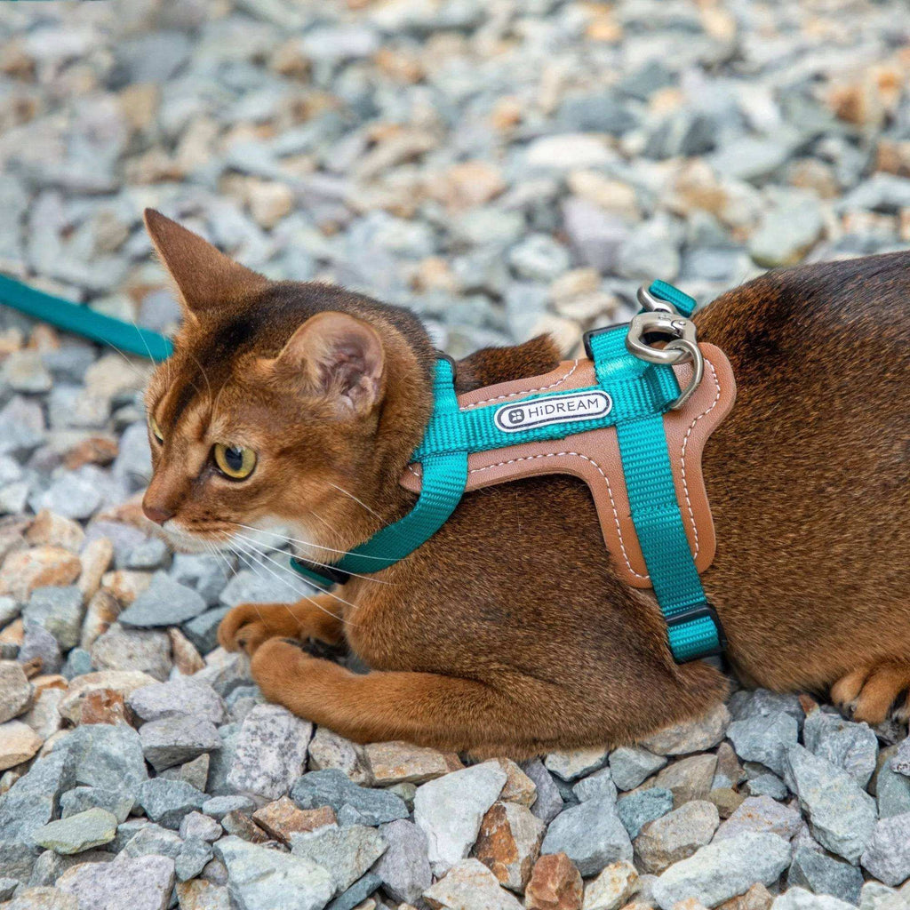 Bobo Series - Leather Patchwork Cat Vest Set - HiDream