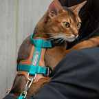 Bobo Series - Leather Patchwork Cat Vest Set - HiDream