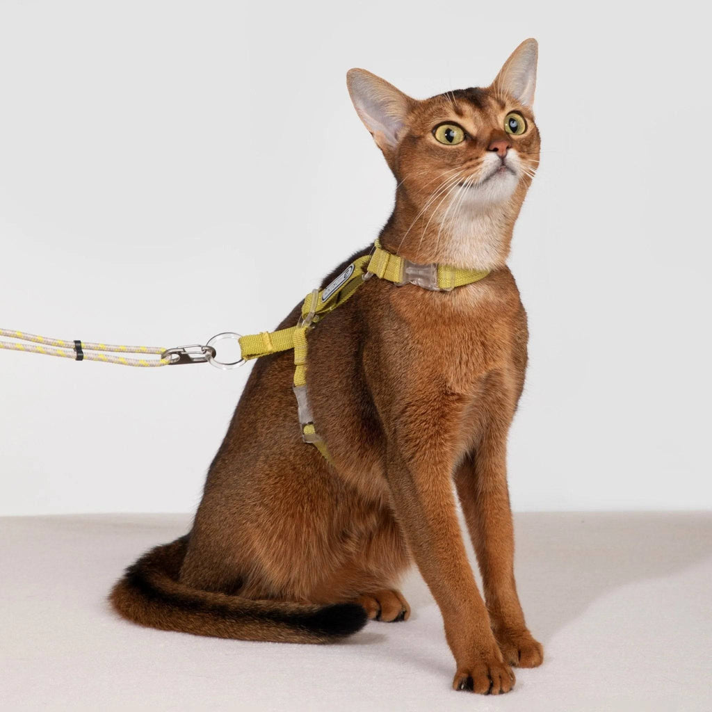 Bobo Series - Rope Spliced Nylon Cat Vest Set - HiDream