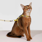 Bobo Series - Rope Spliced Nylon Cat Vest Set - HiDream