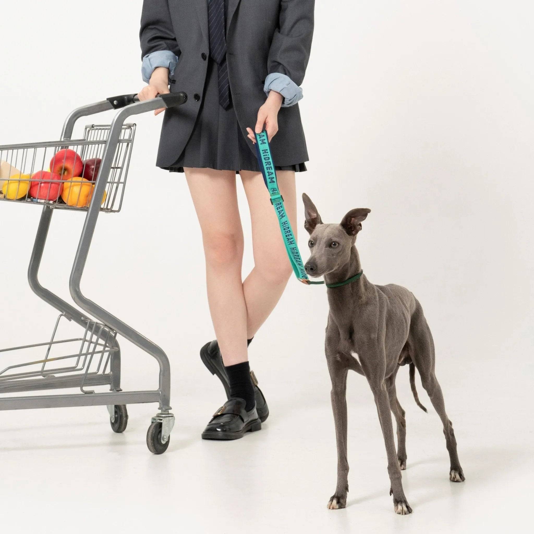 Bobo Series - Soft handle Nylon Dog Leash - HiDream