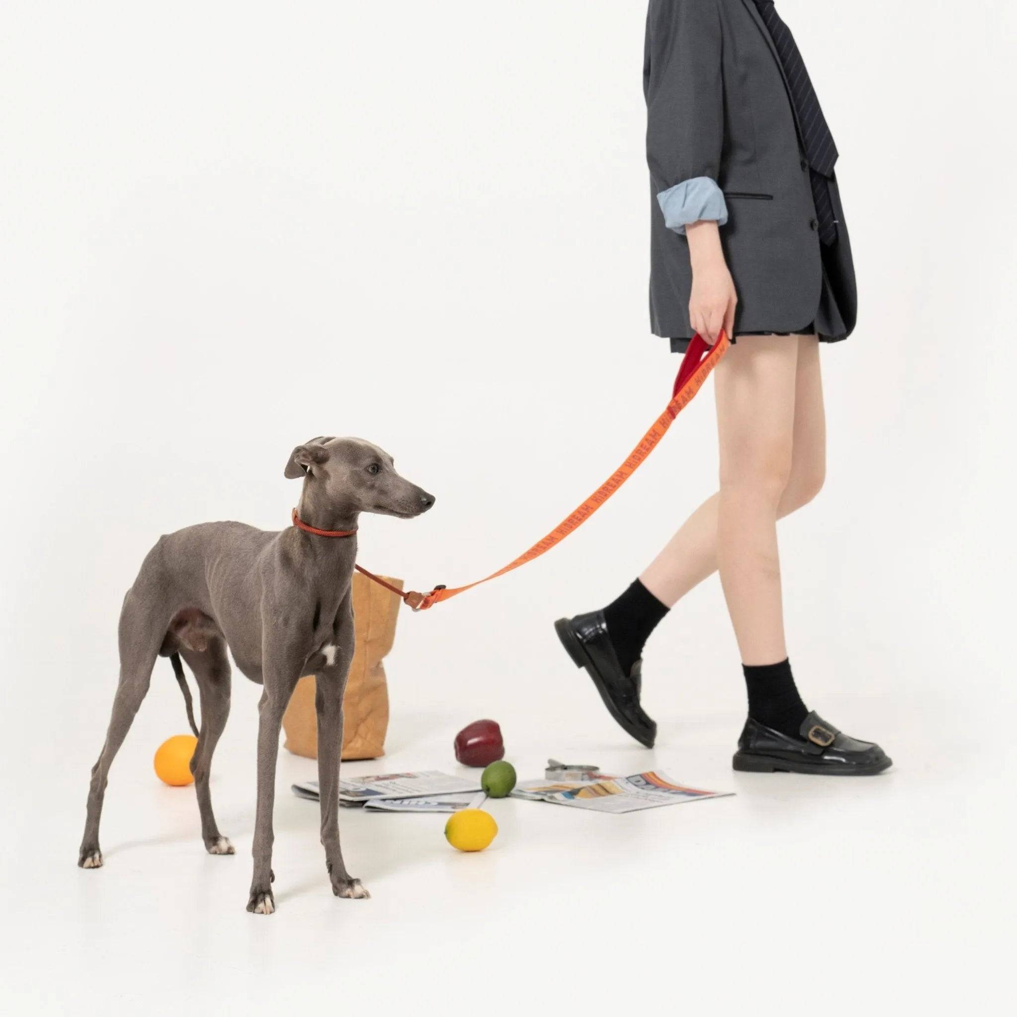 Bobo Series - Soft handle Nylon Dog Leash - HiDream