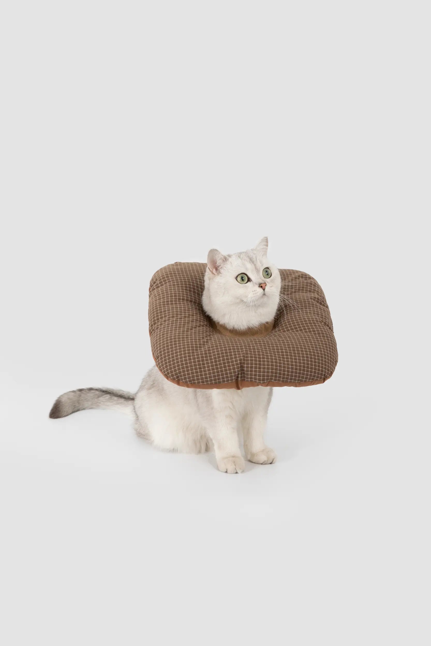 Toast Soft Pet Recovery Collar – Anti-Lick Cone for Cats & Dogs