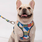 Castle Series - Dog Light Vest Bundle - HiDream