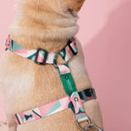 Castle Series - Dog Light Vest Bundle - HiDream