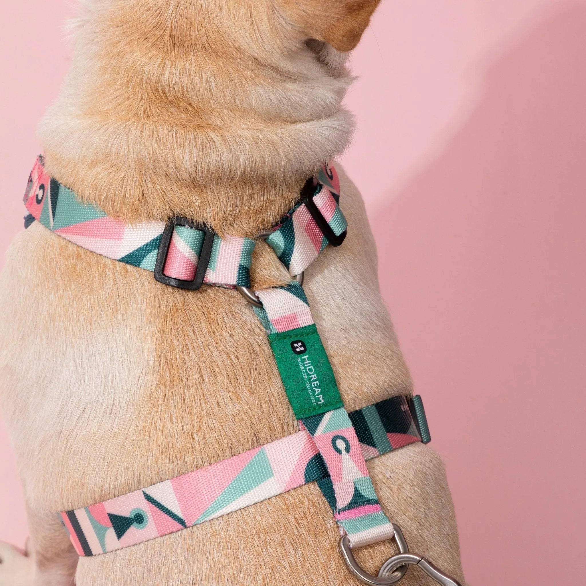Castle Series - Dog Light Vest Bundle - HiDream