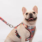 Castle Series - Dog Light Vest Bundle - HiDream