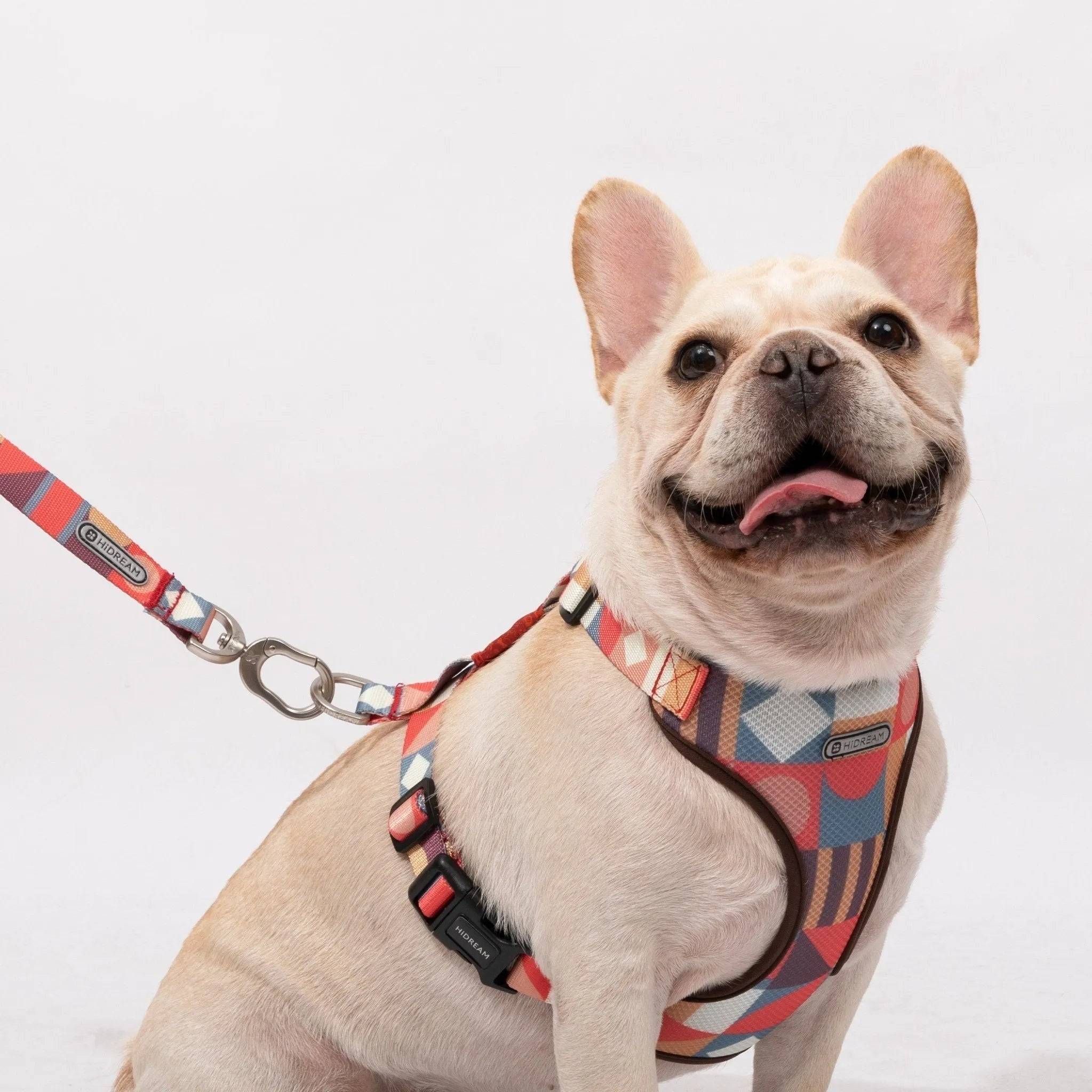 Castle Series - Dog Light Vest Bundle - HiDream