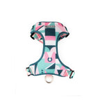 Castle Series - Dog Light Vest Bundle - HiDream