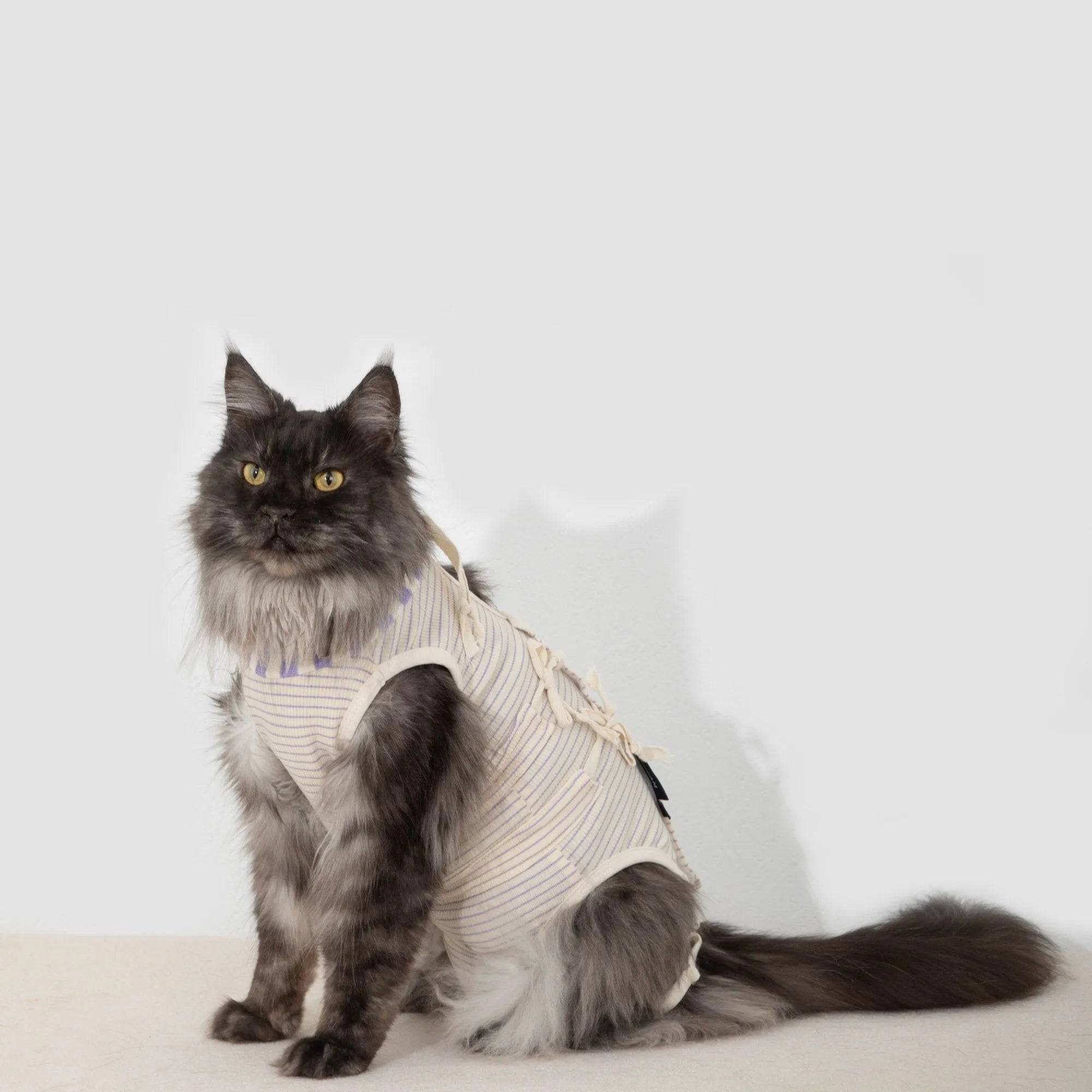 Cat Surgery Recovery Suit - HiDream