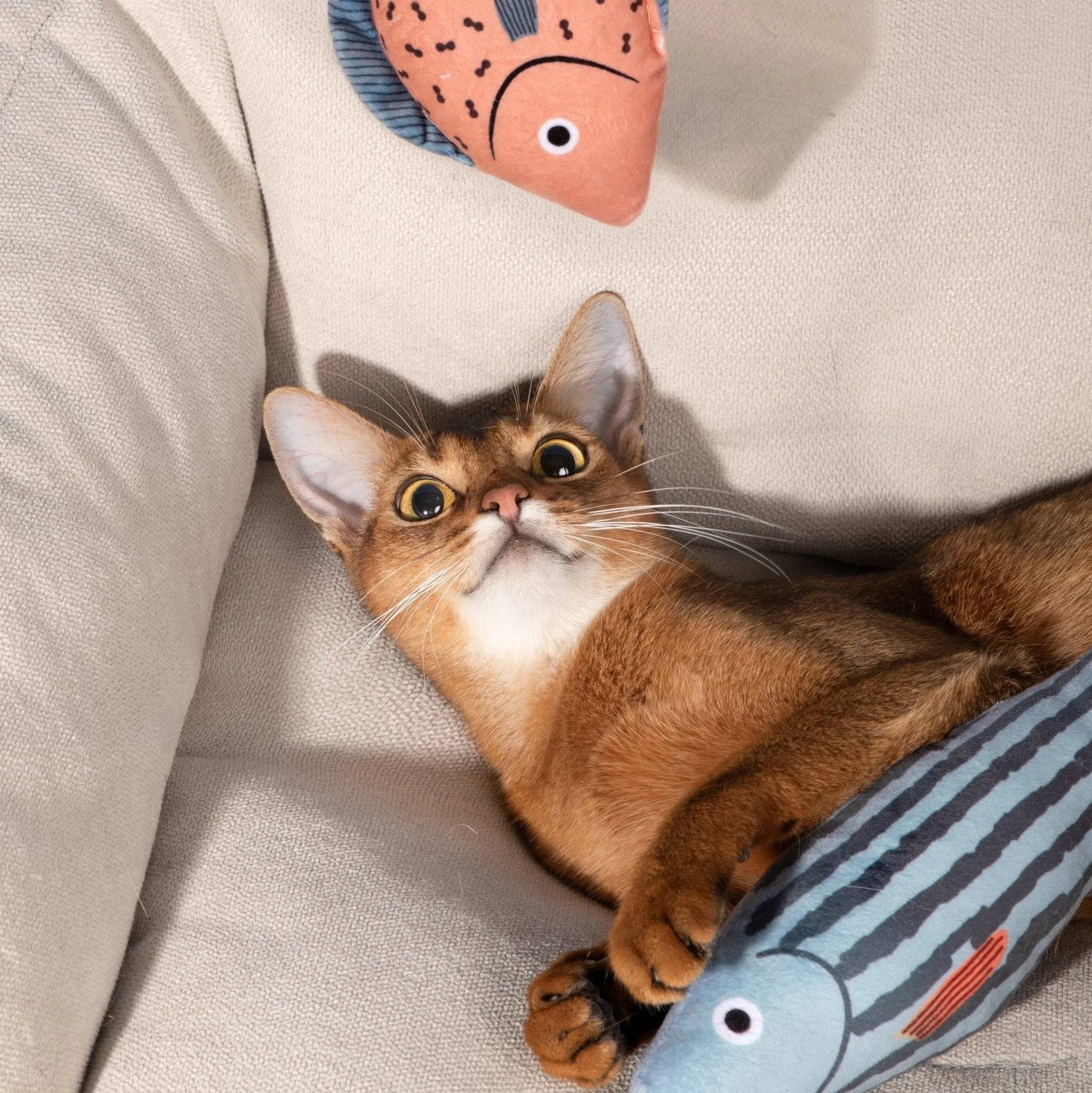 Catnip Fish Toy - HiDream