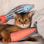 Catnip Fish Toy - HiDream
