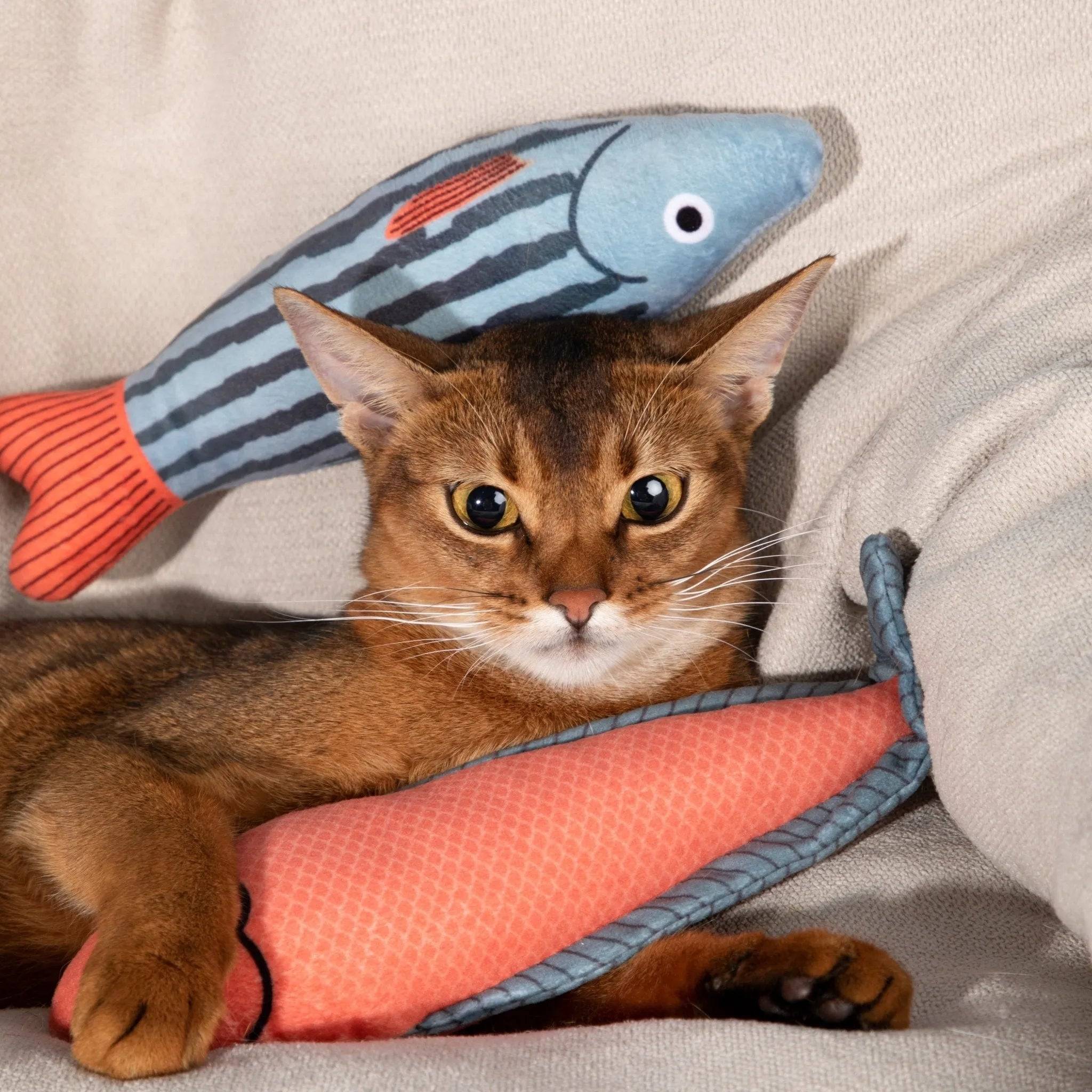 Catnip Fish Toy - HiDream