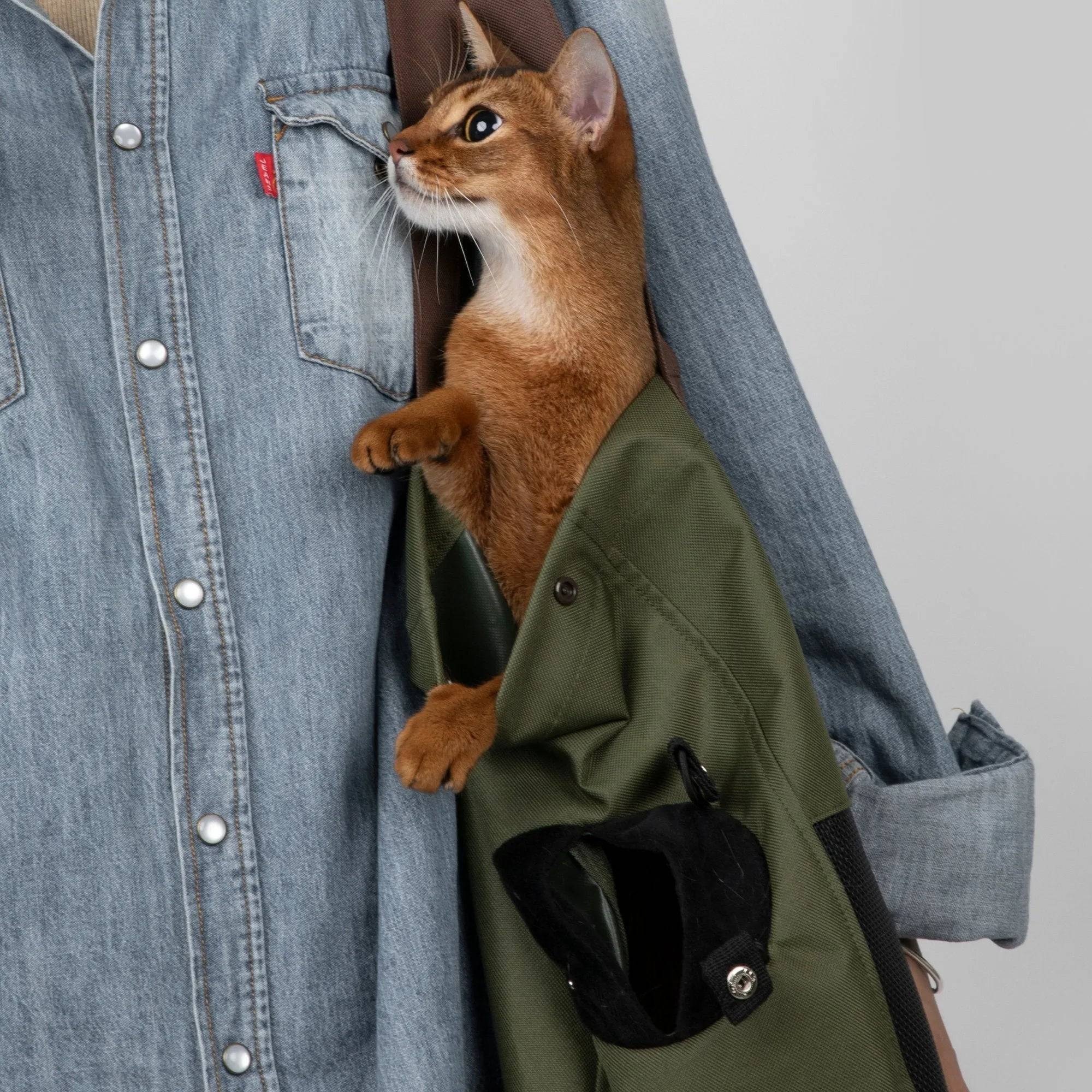 Green HiDREAM Padded Tote Bag carried with a cat peeking out, showing the soft-sided carrier’s comfort and portability.