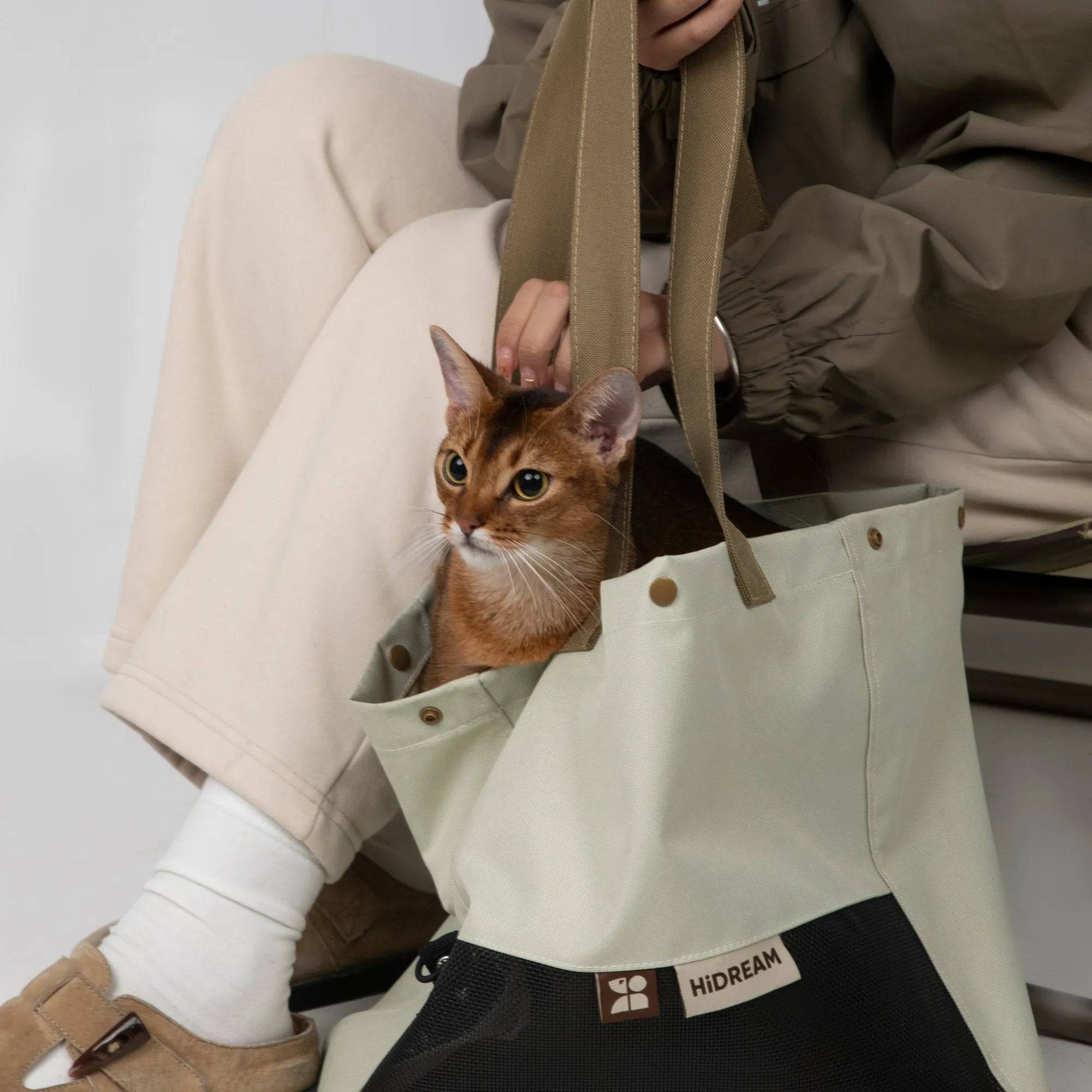 Cat sitting inside the cream HiDREAM Padded Tote Bag, demonstrating its foldable, lightweight design for pet-friendly travel.
