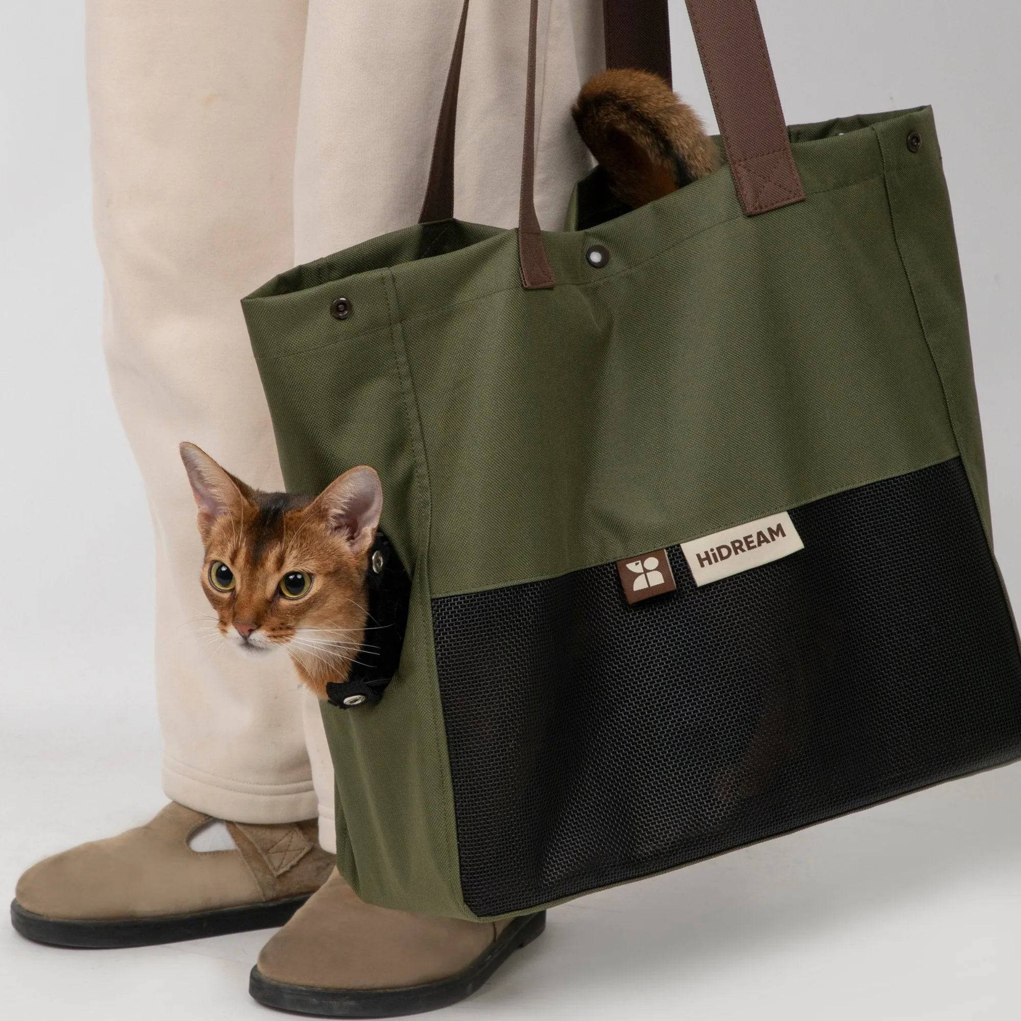 HiDREAM Padded Tote Bag in green used as a lightweight pet carrier tote for a cat, featuring breathable mesh and secure side opening.