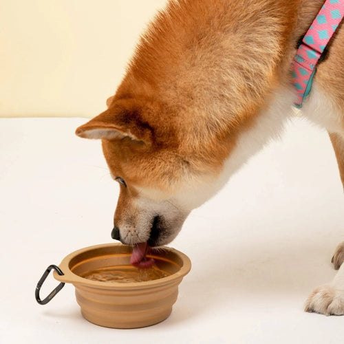Collapsible Pet Bowl - HiDream