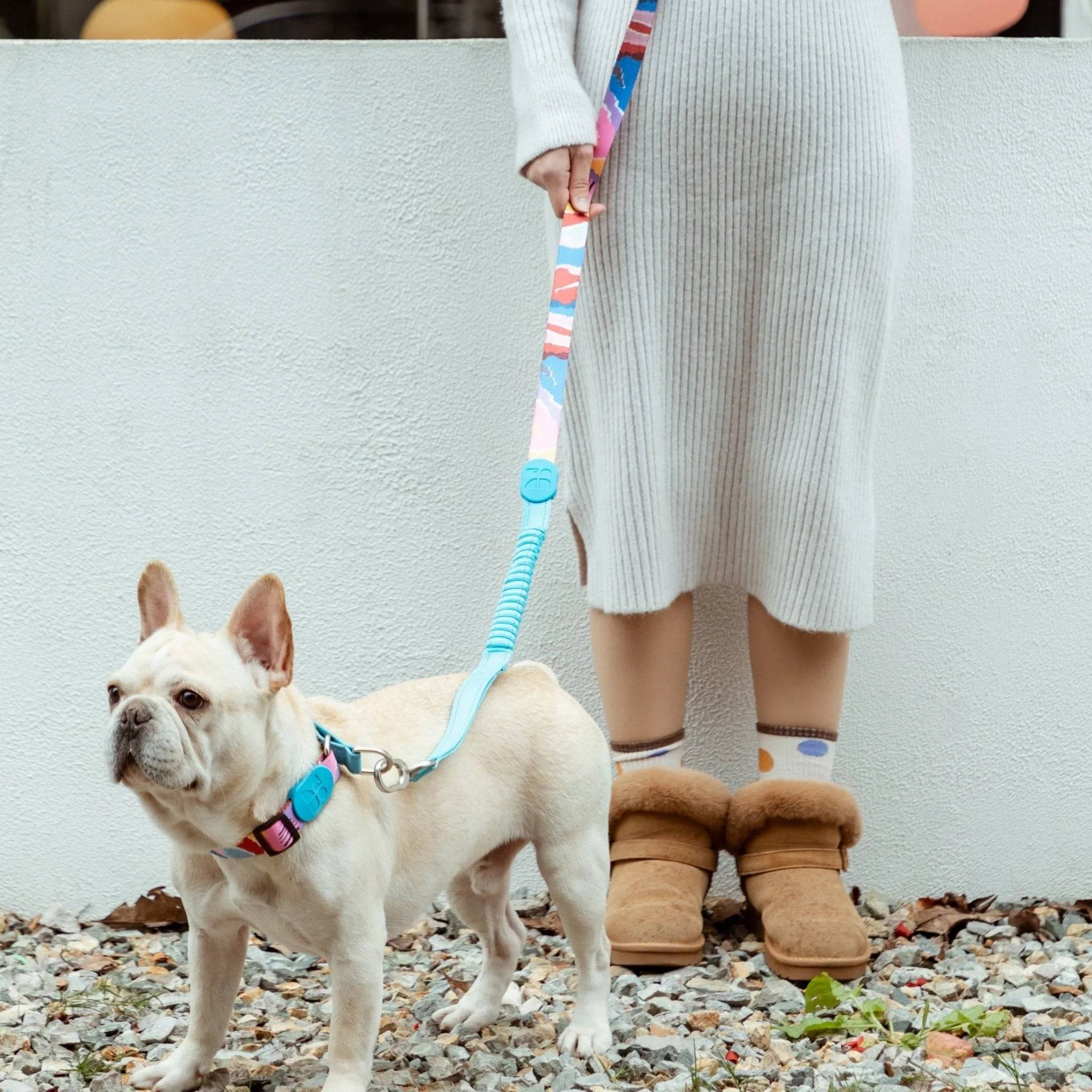 Colorful PRO - 'P' Collar Bundle - HiDream
