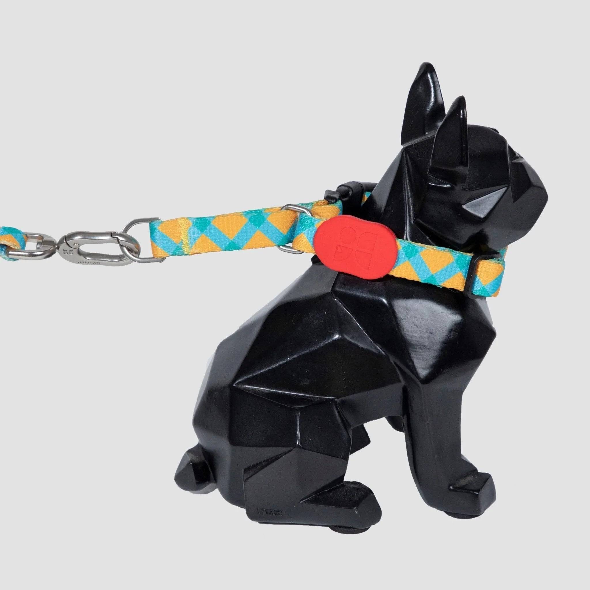 Colorful PRO - 'P' Collar Bundle - HiDream