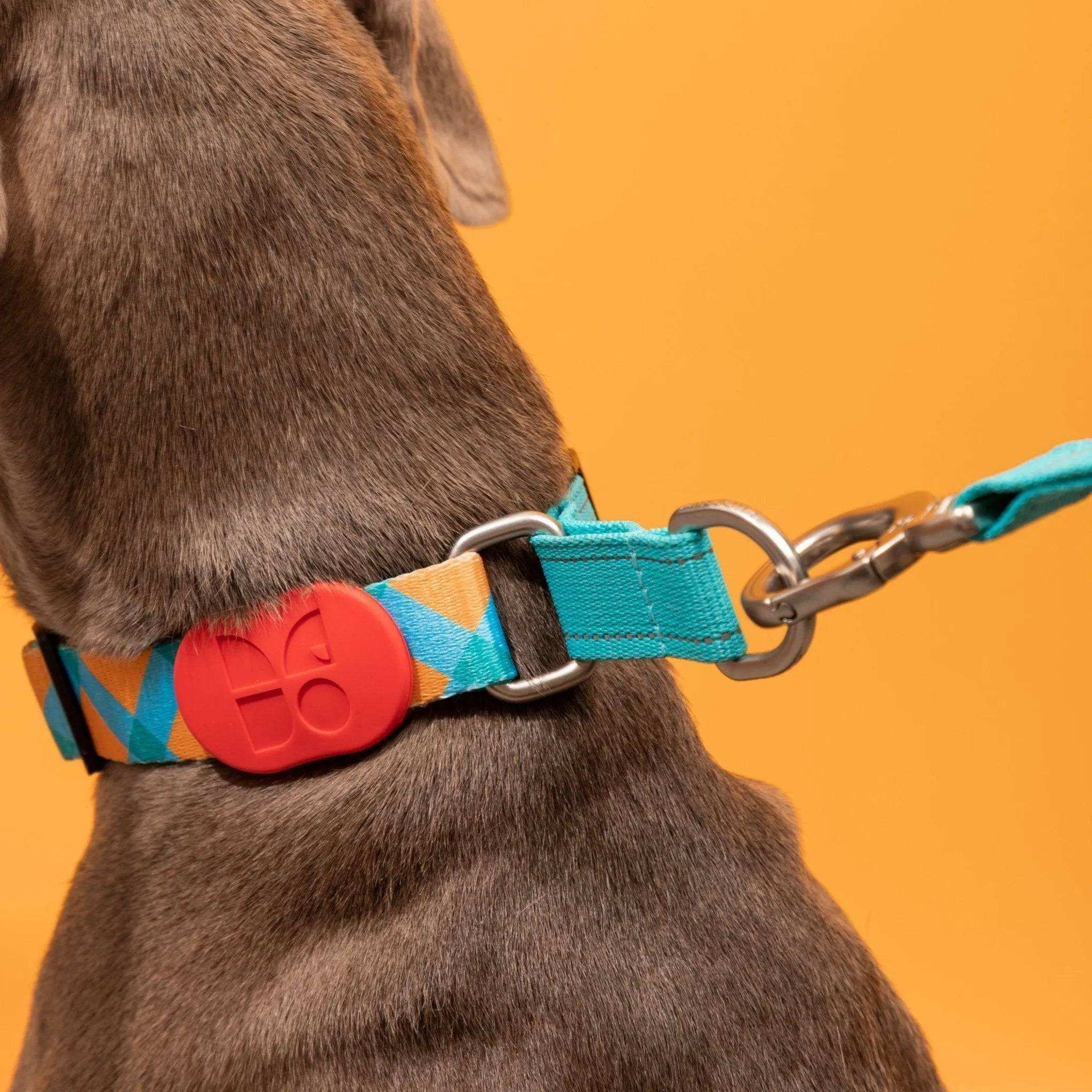 Colorful PRO - 'P' Collar Bundle - HiDream