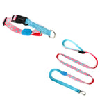 Colorful PRO - 'P' Collar Bundle - HiDREAM Australia
