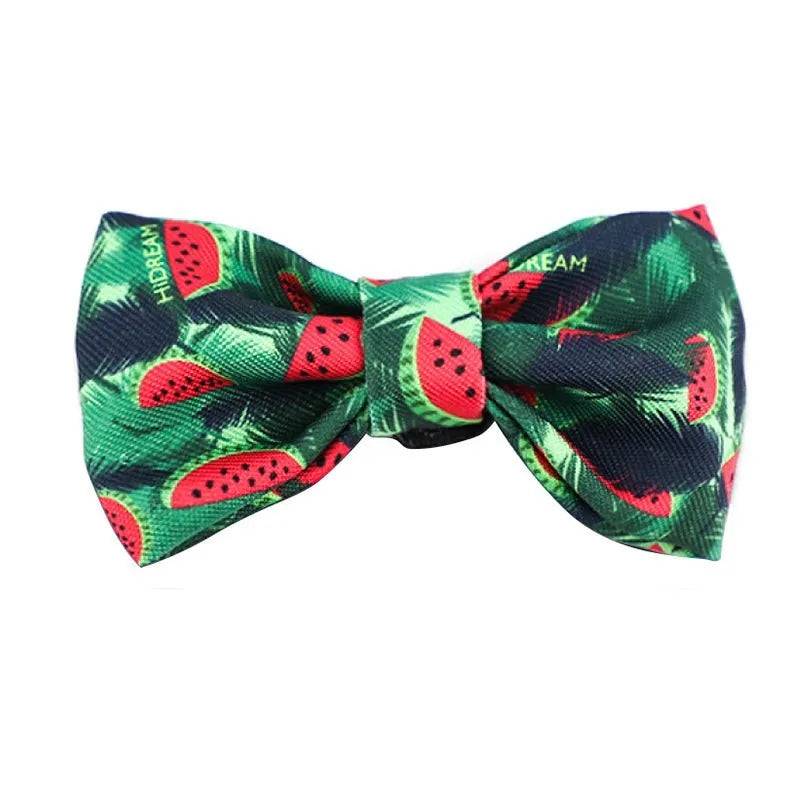 Colorful Series - Cute Bow Tie - HiDream