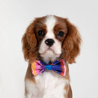 Colorful Series - Cute Bow Tie - HiDream